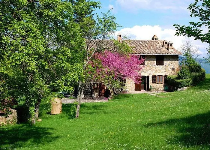 Tenuta Le Silve Assisi