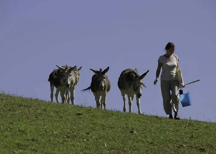Tenuta Le Silve Bauernhof